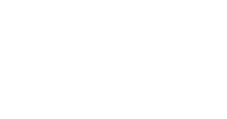 Warrior Wall
